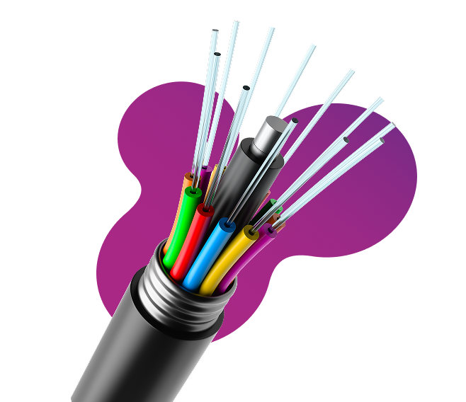Câblage fibre optique